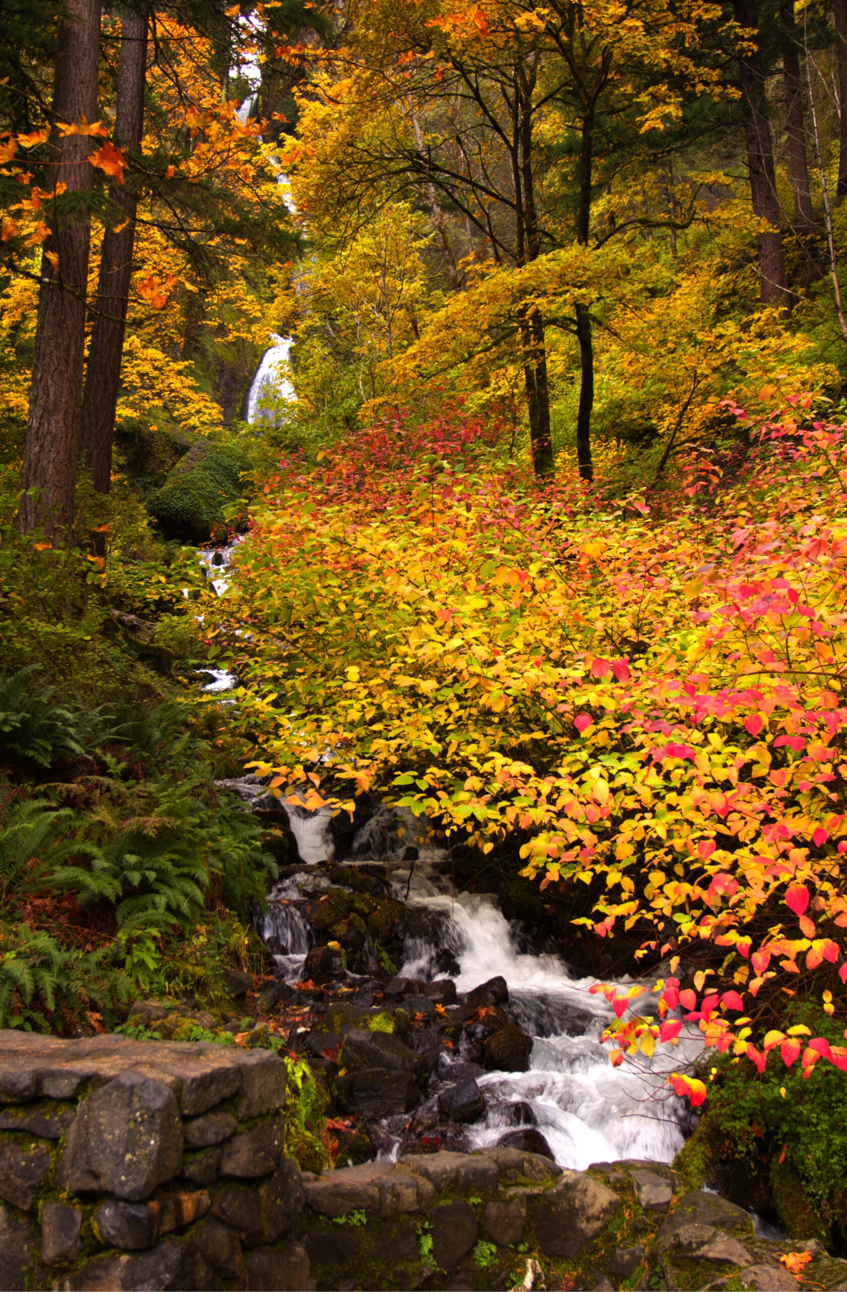 Wahkeena Falls in Oregon