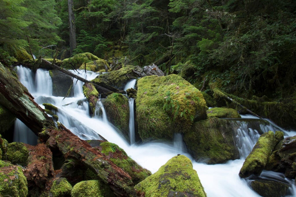 Watson Falls in Oregon