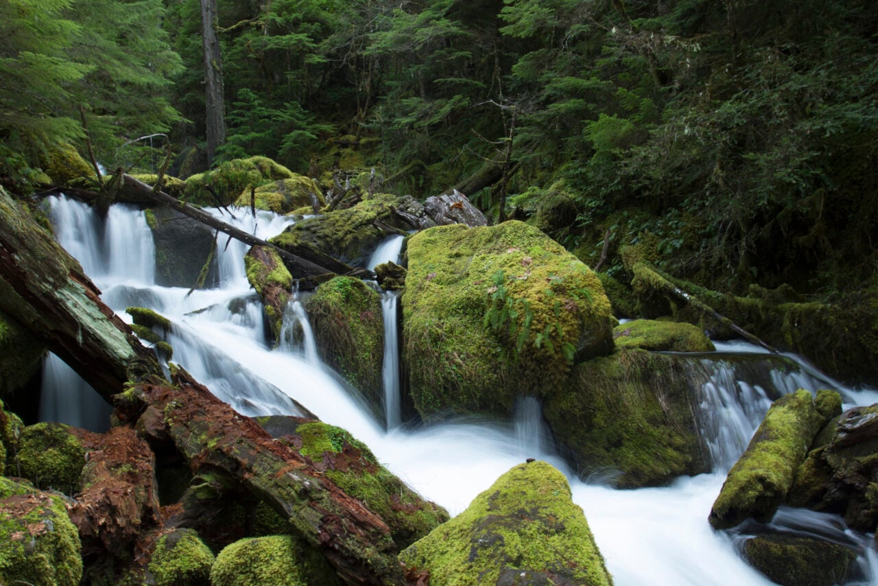 Watson Falls cascading down a mossy cliff in Southern Oregon