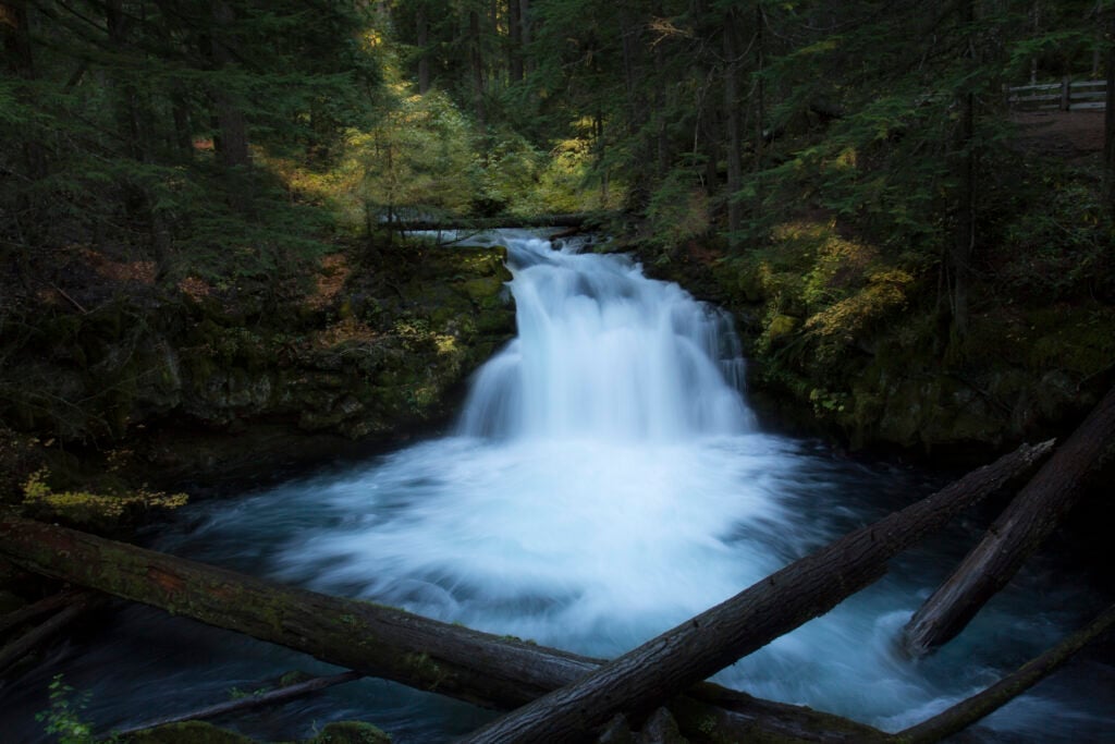 Whitehorse Falls in Oregon