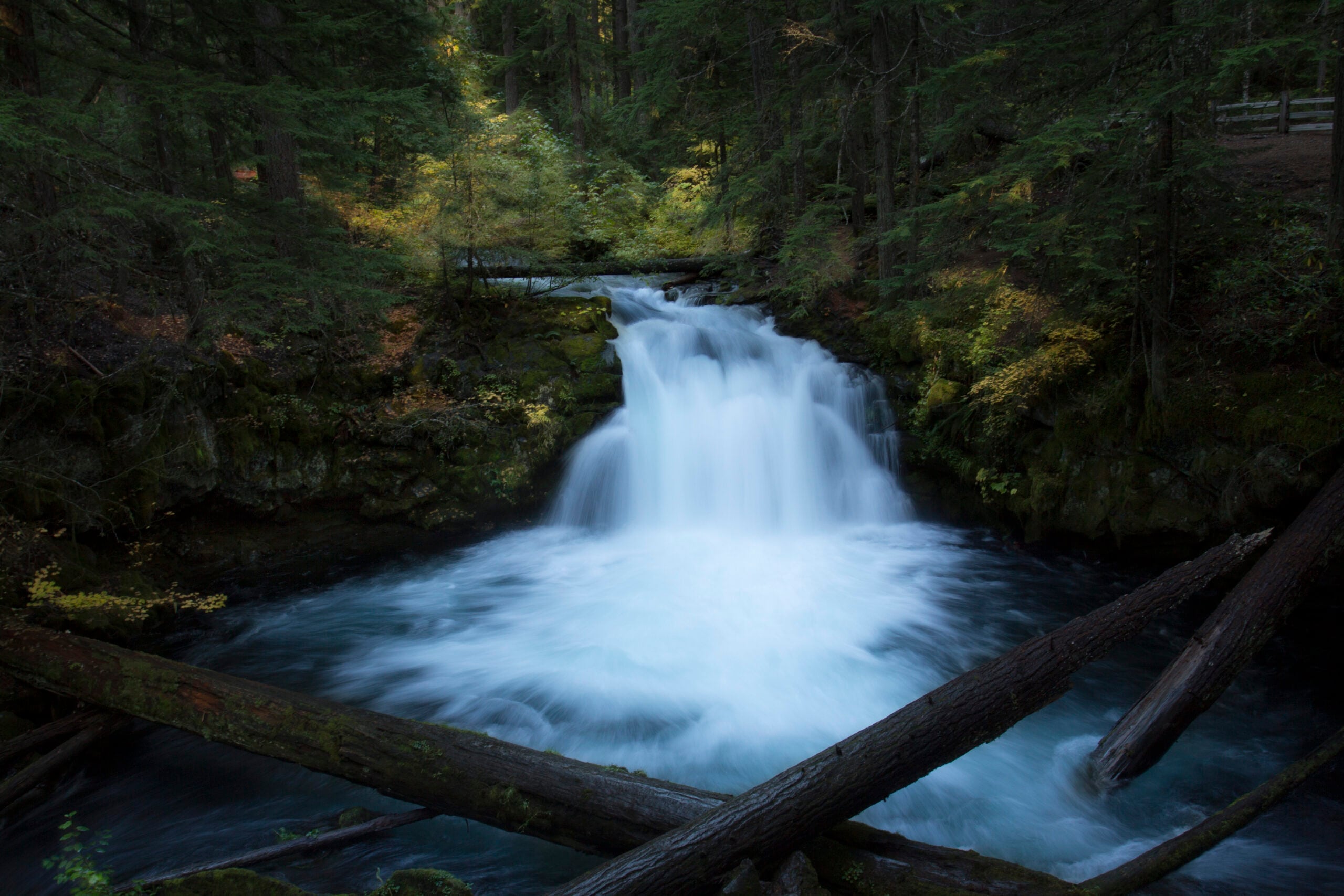 Whitehorse Falls in Oregon