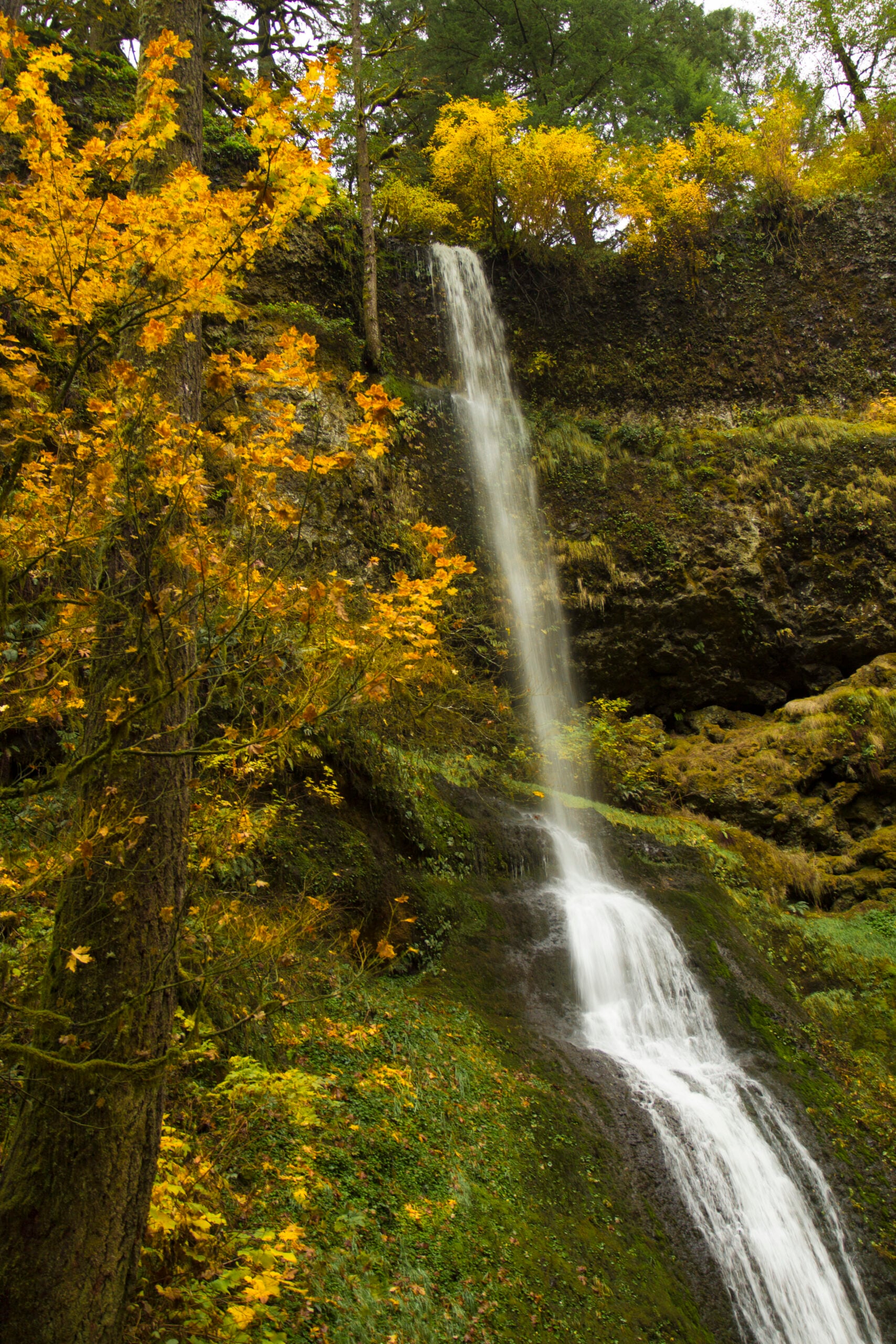 Winter Falls in Oregon