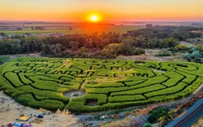 Pumpkins, Fire Pits and an 8-Acre Corn Maze Return to Oregon This Weekend