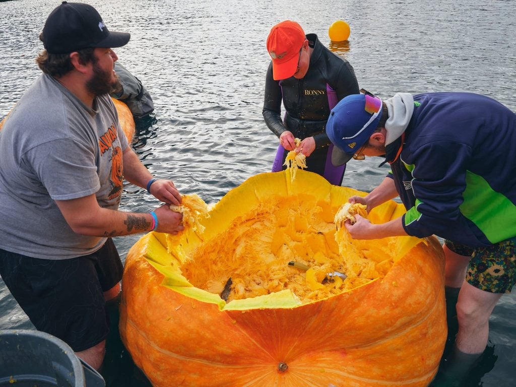 Giant Pumpkin Regatta, Tualatin Oregon, October 2026, Upcoming Events, Fall Things To Do, Autumn Fan, Halloween, Costumes, Foot Race, Pumpkin Judging, Family Fun