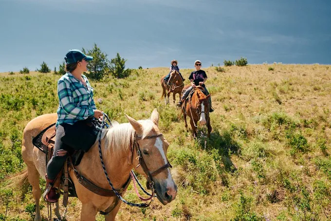 Guests following a guide on horseback through sunny Eastern Oregon hills