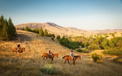Saddle Up and Stay the Night at This 9,000-Acre Oregon Ranch Near Fossil