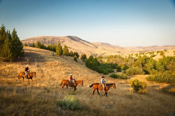 Three horseback riders crossing golden high desert hills at Wilson Ranches Retreat near Fossil, Oregon