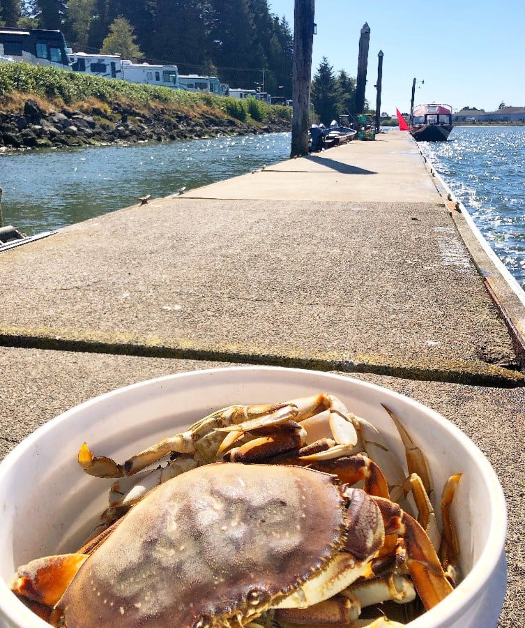 McKinley's RV & Marina, Oregon Coast, Waldport, Alsea Bay, Crabbing Boat Rentals, Campground, Dungeness Crab, Waterfront Camping, Places to Go, Things To Do
