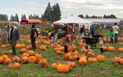 One of Oregon’s Biggest Pumpkin Festivals Opens Today With 30+ Activities and Cider Donuts