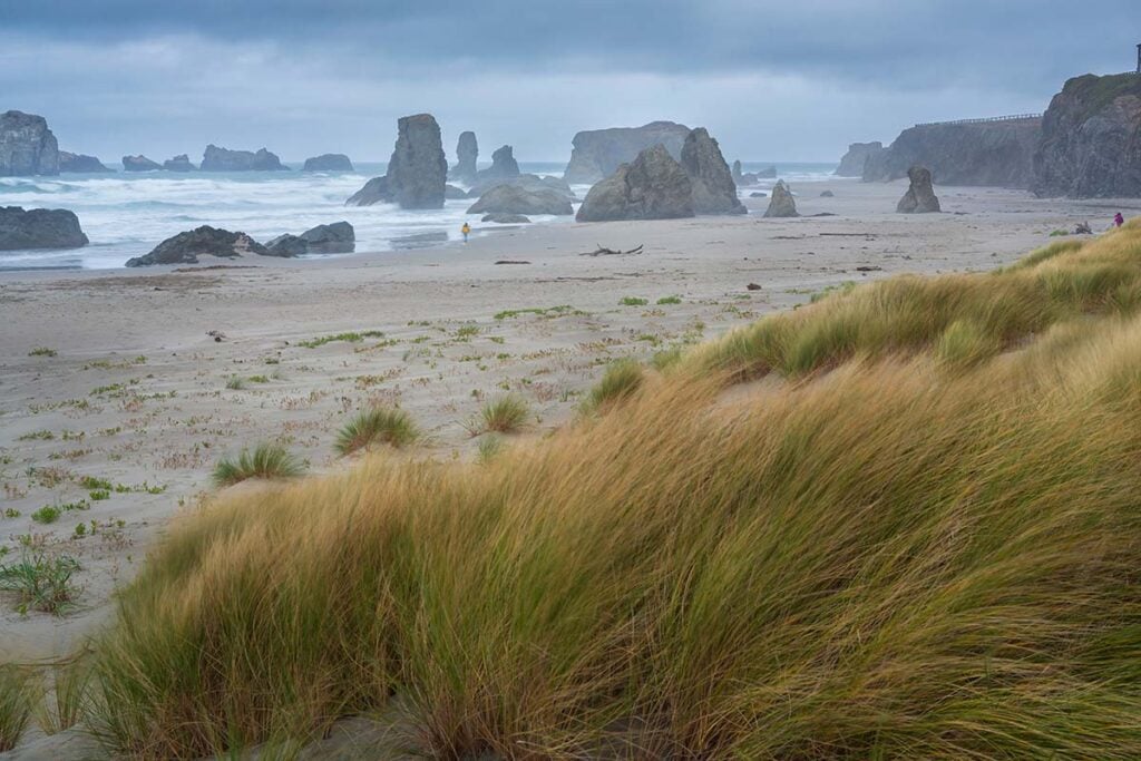 oregon coast in autumn
