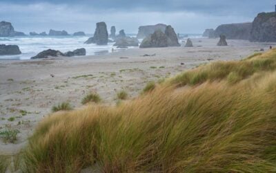 Oregon’s North Coast Could See Gusts Over 55 MPH as a Fall Cyclone Approaches