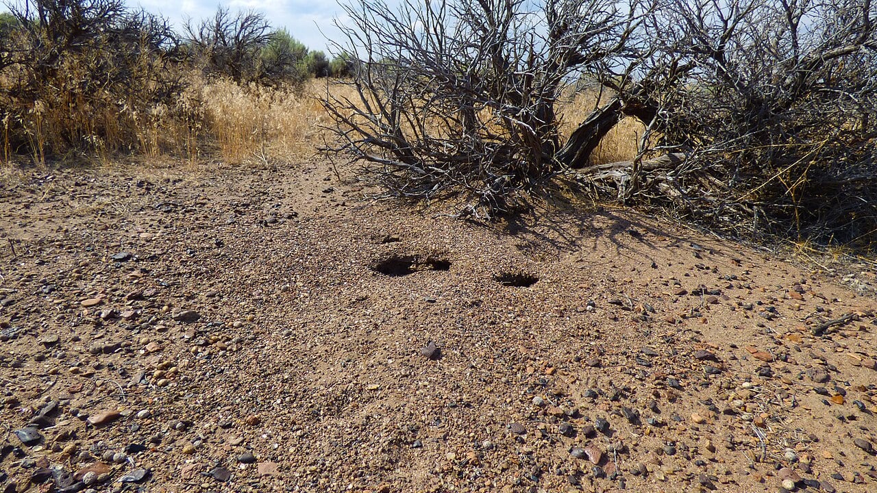 Oregon Sunstone Public Collection Area in the high desert