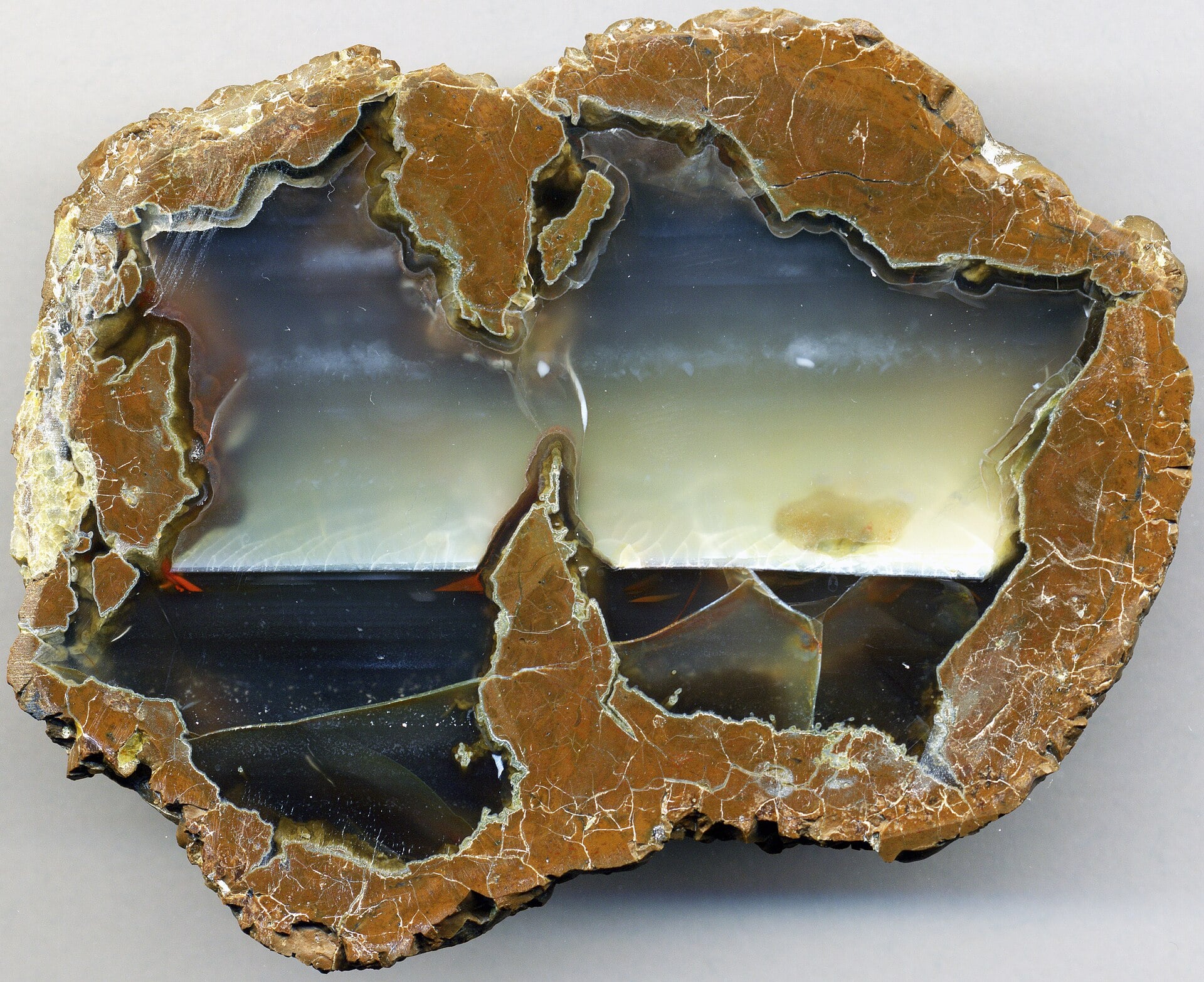 Cut Oregon thunderegg showing translucent agate bands