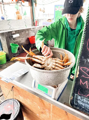 A staff member handles Dungeness crab in a metal bowl on a counter scale
