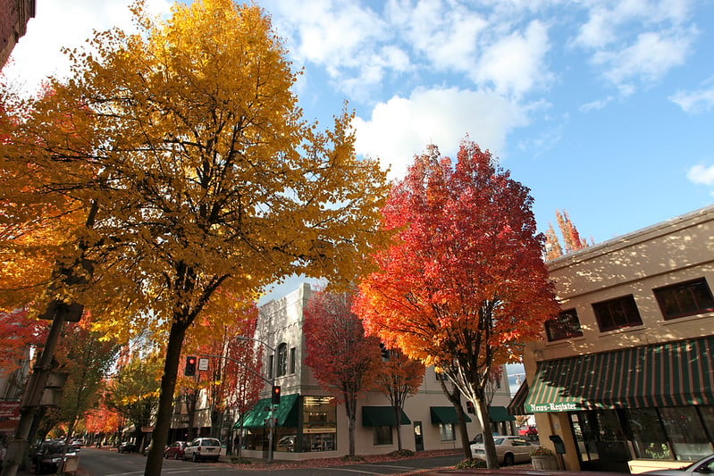 downtown mcminnville, oregon, fall colors, autumn, city street