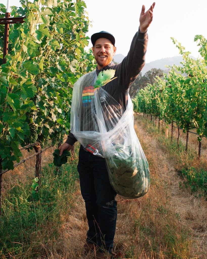 Rogue Creamery, Central Point Oregon, Rogue Blue Cheese, Best in the World, Gold Winner, International Competition, Where to Buy, Support Local, Made Right Here, Pear Brandy Soaked, Wrapped in Grape Leaves, Organic, Food Lovers, World Cheese Awards
