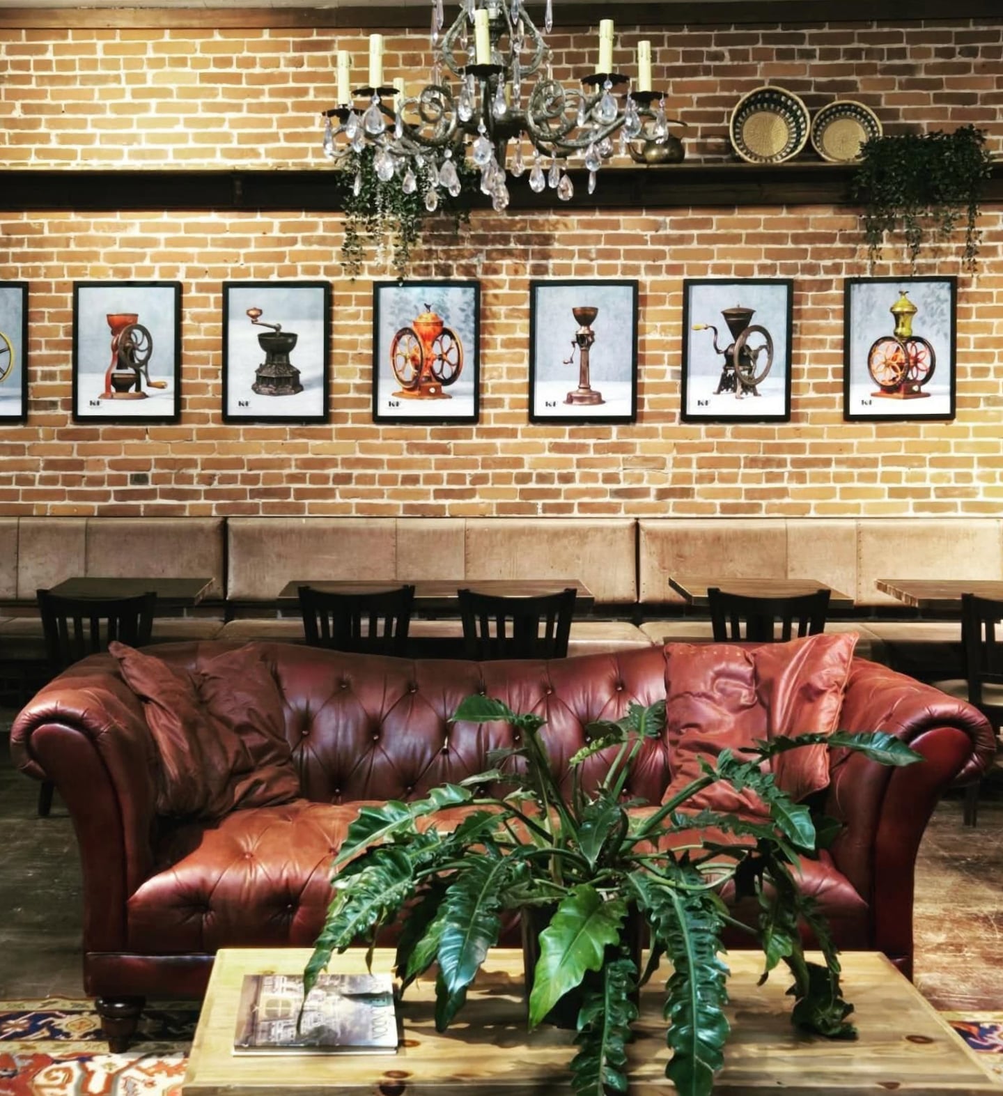 Pioneer Joe Coffee Company, mcminnville oregon, willamette valley, locally roasted beans, family owned and operated, best espresso, breakfast lunch and snacks, local oregon, lincoln city, new location, small business, great coffee, order online
