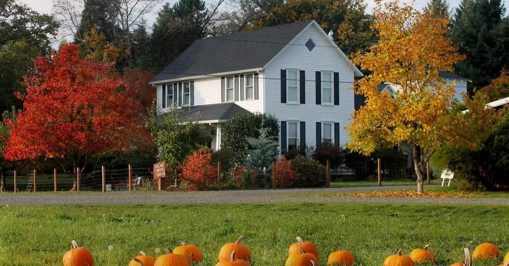 Dolan Creek Farm, Boring Oregon, Pumpkin Patch, Halloween Events, Trick Or Treat, Family Fun, Farm Visits, 2026, Animals, Things to Do, Fall Activities, Inexpensive, Day Trips