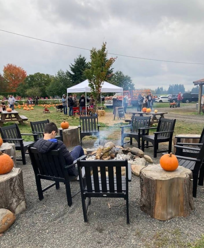 Dolan Creek Farm, Boring Oregon, Pumpkin Patch, Halloween Events, Trick Or Treat, Family Fun, Farm Visits, 2026, Animals, Things to Do, Fall Activities, Inexpensive, Day Trips