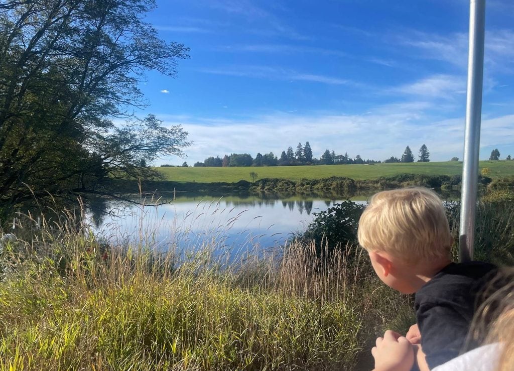Dolan Creek Farm, Boring Oregon, Pumpkin Patch, Halloween Events, Trick Or Treat, Family Fun, Farm Visits, 2026, Animals, Things to Do, Fall Activities, Inexpensive, Day Trips, Tractor Rides