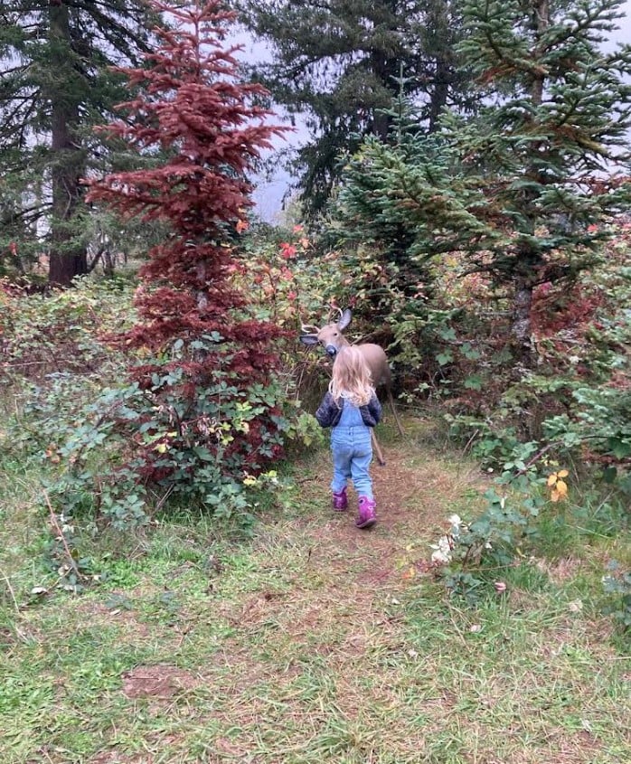 Dolan Creek Farm, Boring Oregon, Pumpkin Patch, Halloween Events, Trick Or Treat, Family Fun, Farm Visits, 2026, Animals, Things to Do, Fall Activities, Inexpensive, Day Trips