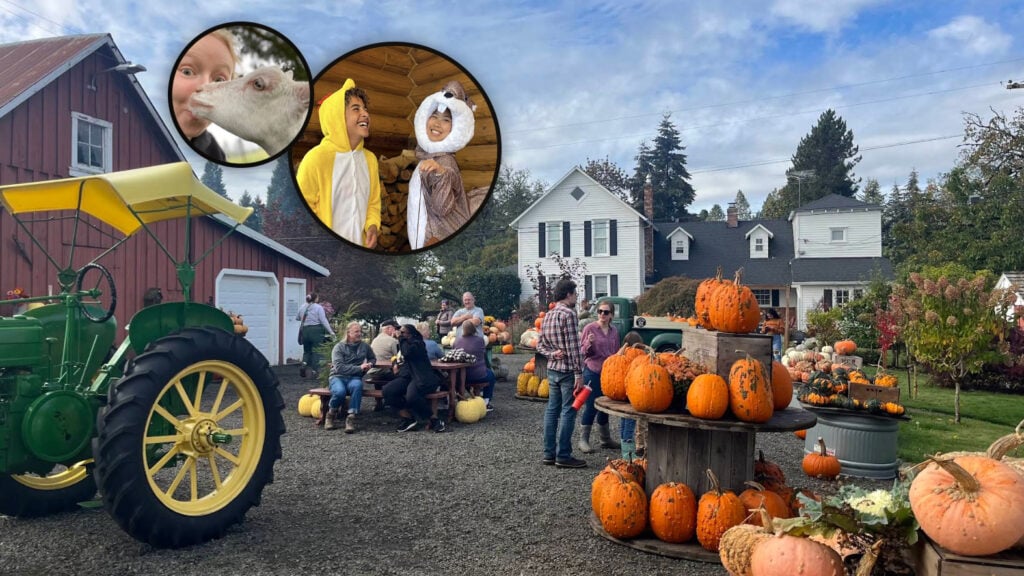 Dolan Creek Farm, Boring Oregon, Pumpkin Patch, Halloween Events, Trick Or Treat, Family Fun, Farm Visits, 2026, Animals, Things to Do, Fall Activities, Inexpensive, Day Trips