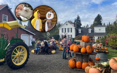 This Oregon Farm Is Bringing Back Its Halloween Trick-or-Treat Trail, and It’s Anything But Boring