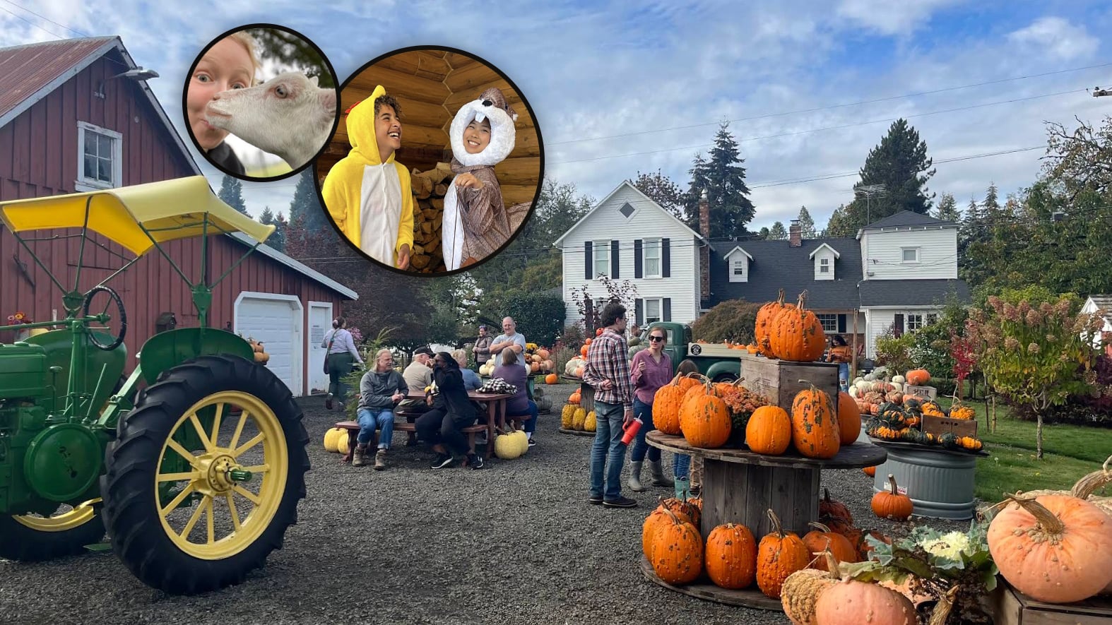 Dolan Creek Farm, Boring Oregon, Pumpkin Patch, Halloween Events, Trick Or Treat, Family Fun, Farm Visits, 2026, Animals, Things to Do, Fall Activities, Inexpensive, Day Trips