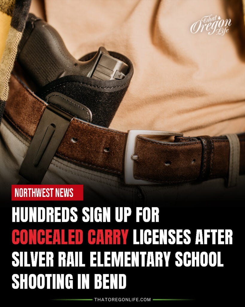 concealed carry firearm
