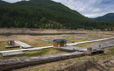 Federal Plan to Lower Detroit Lake to Help Salmon Sparks Court Fight Over Drinking Water Risks