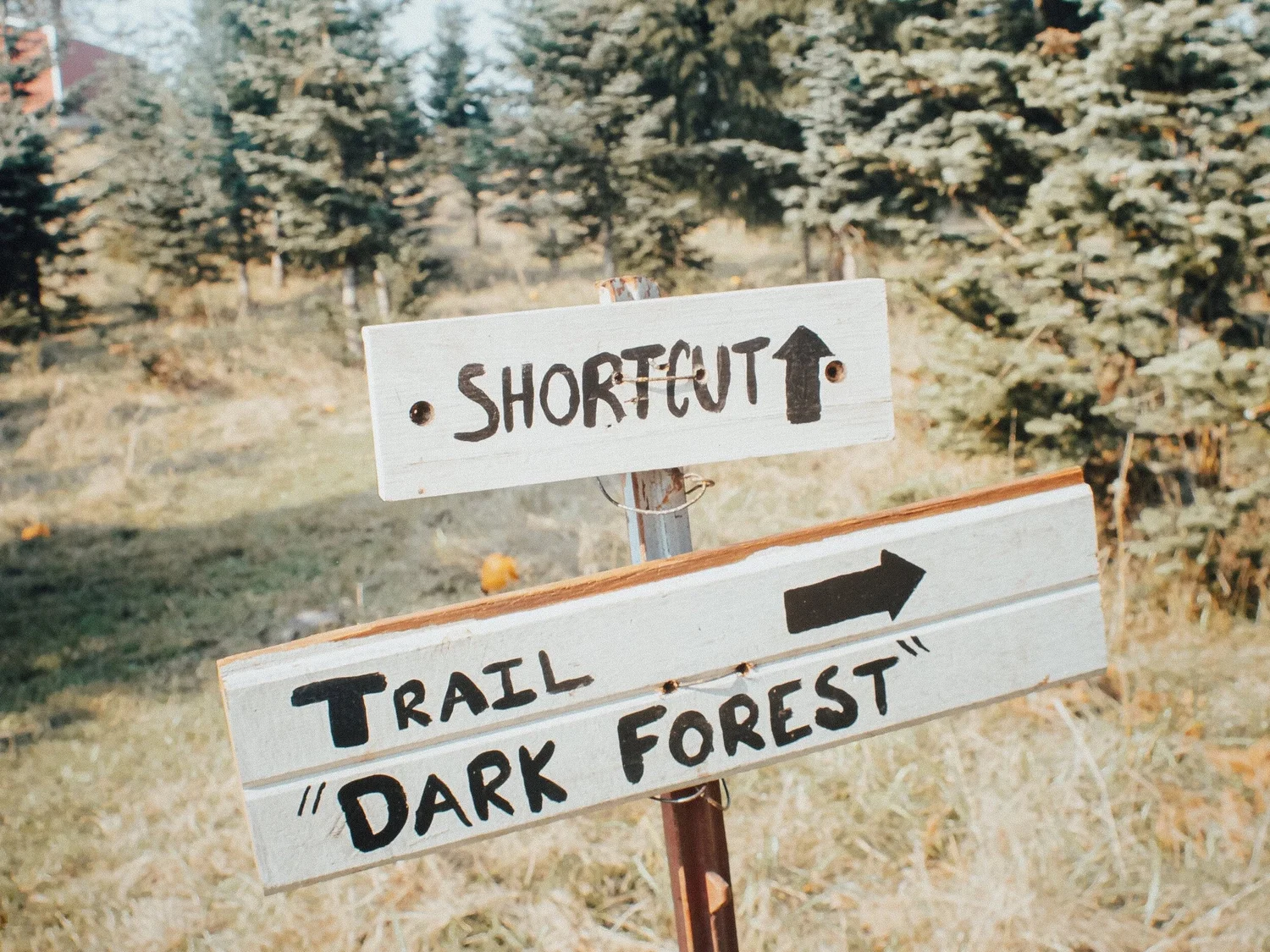 Wooden signs point toward a shortcut and the trail labeled “Dark Forest.” Dolan Creek Farm, Boring Oregon, Pumpkin Patch, Halloween Events, Trick Or Treat, Family Fun, Farm Visits, 2026, Animals, Things to Do, Fall Activities, Inexpensive, Day Trips