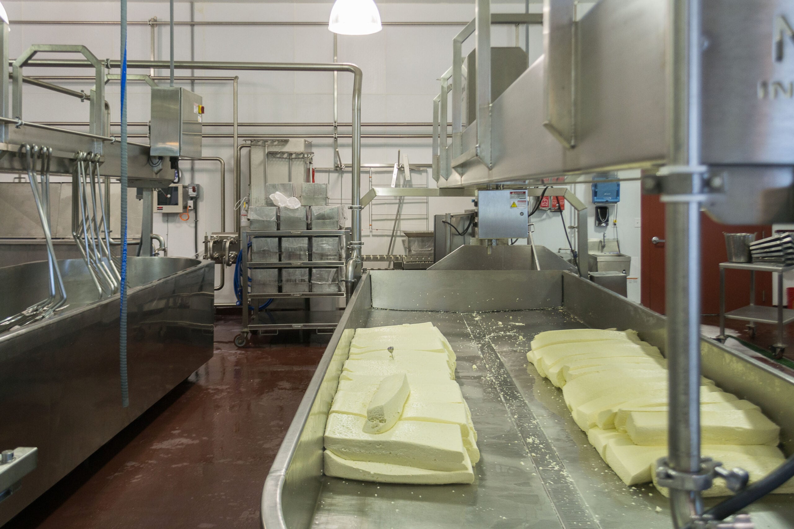 Fresh cheese curds in the production room at Face Rock Creamery in Bandon