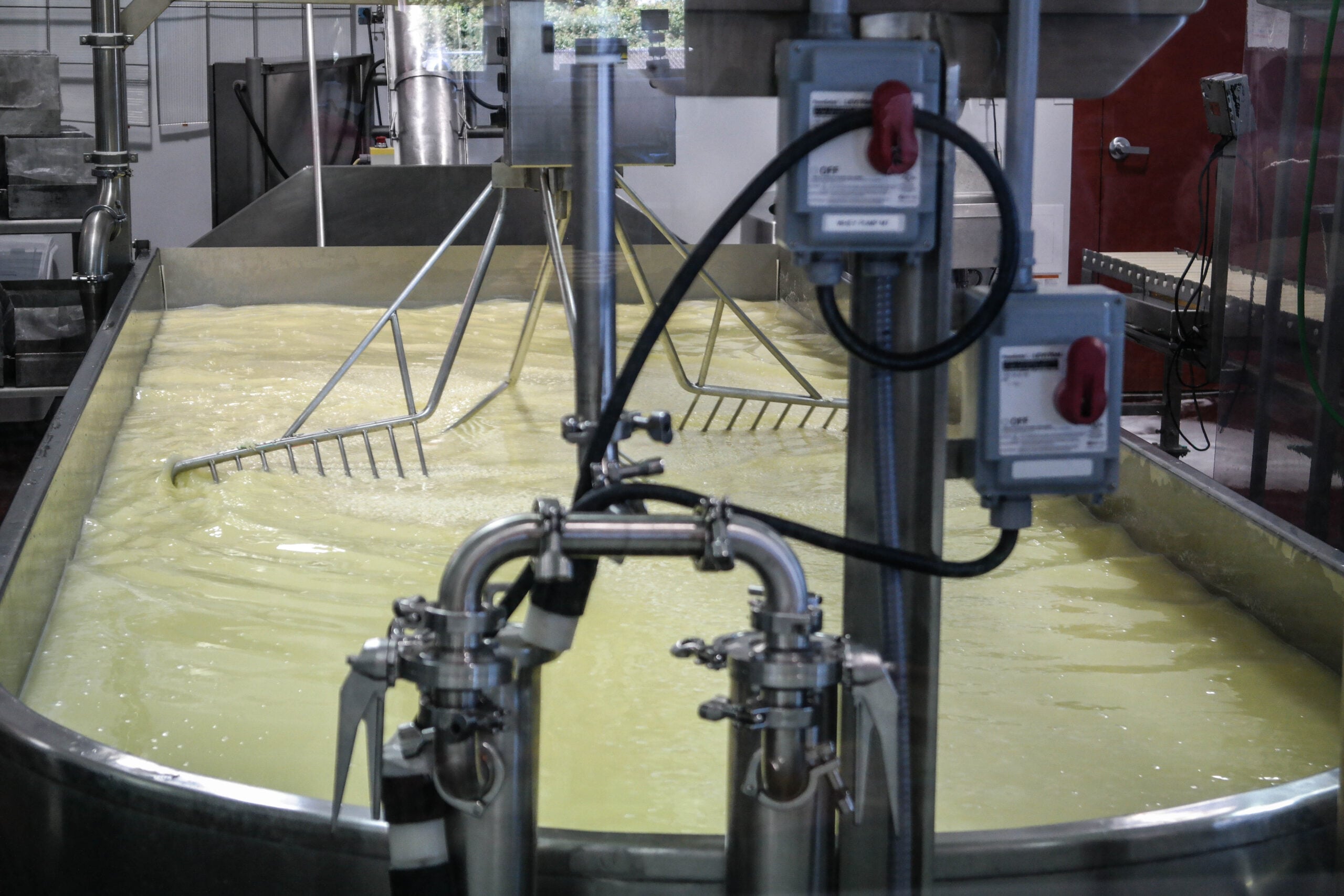 Milk stirring in a large cheesemaking vat at Face Rock Creamery in Bandon