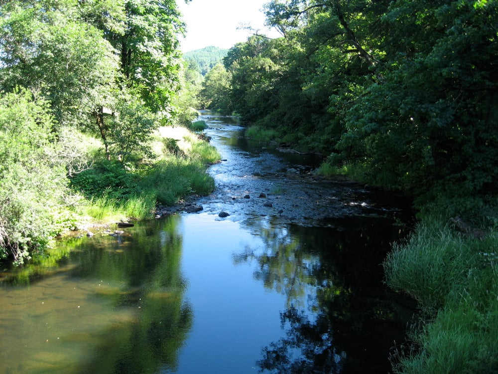 A tree-lined stretch of the Luckiamute River photographed near Fort Hoskins