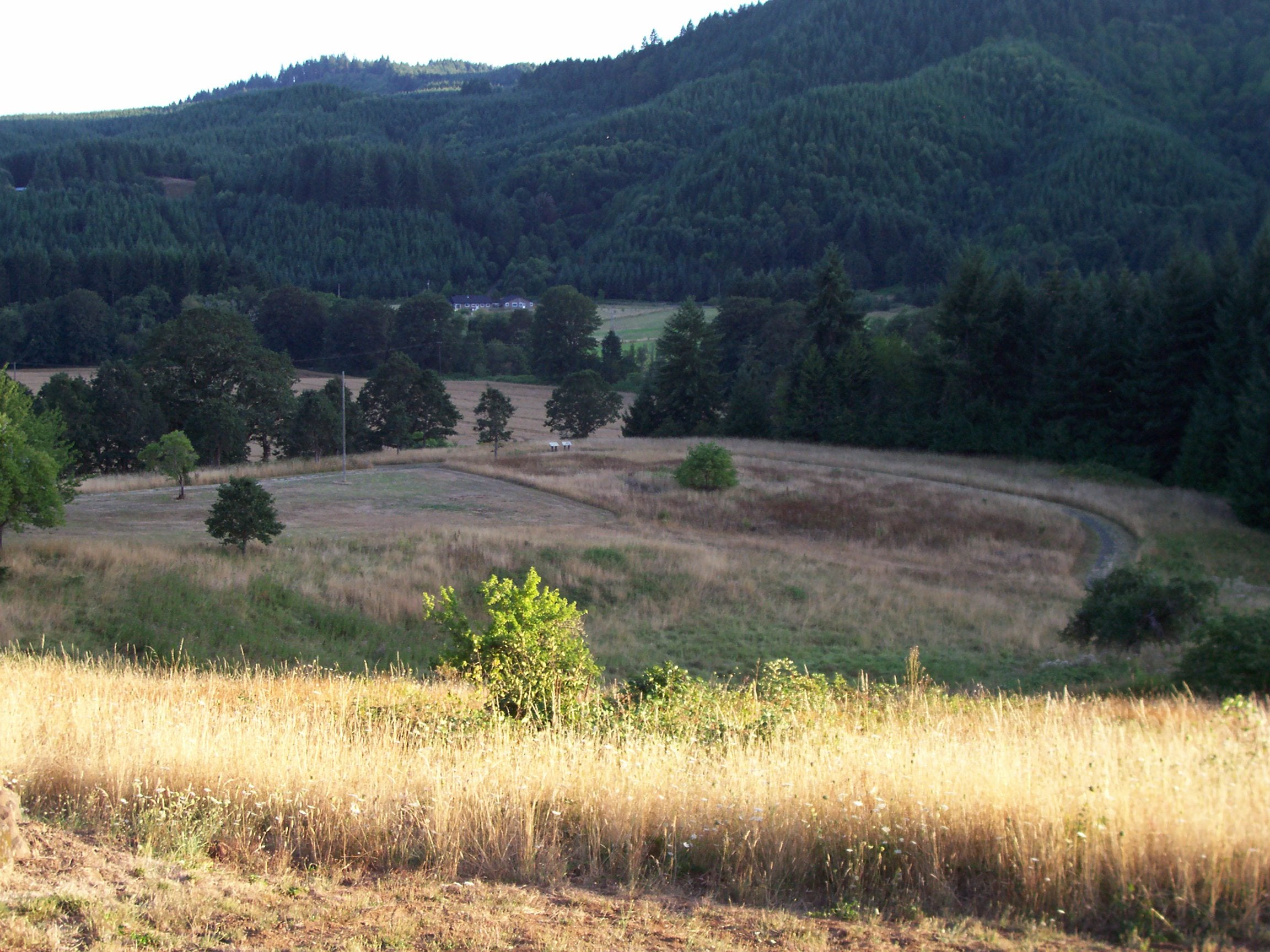Fort Hoskins Historical Park grounds in 2009 Open grassy grounds and forested hills at Fort Hoskins Historical Park