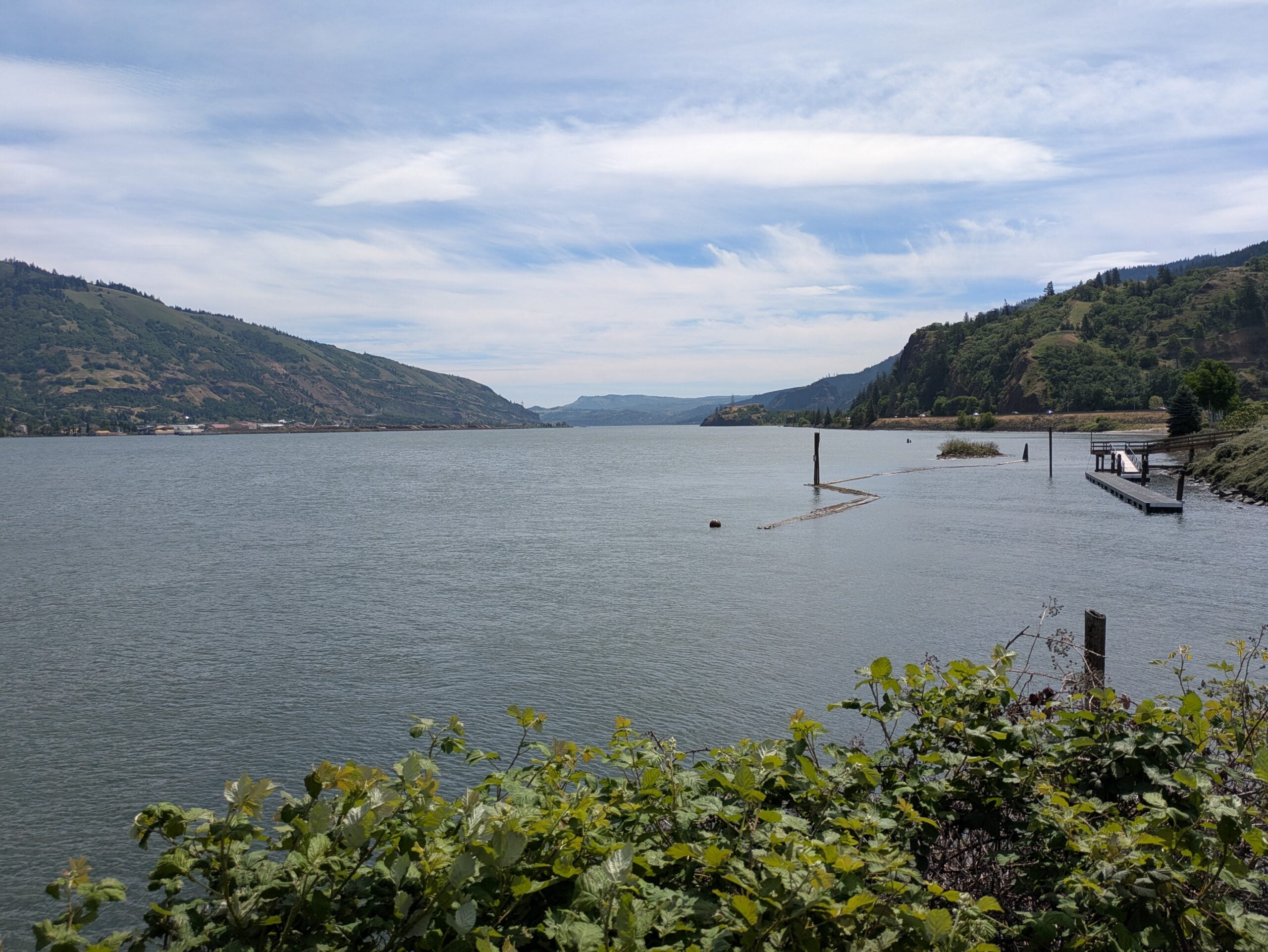 The Columbia River and surrounding hills viewed from Hood River’s waterfront with green plants in the foreground