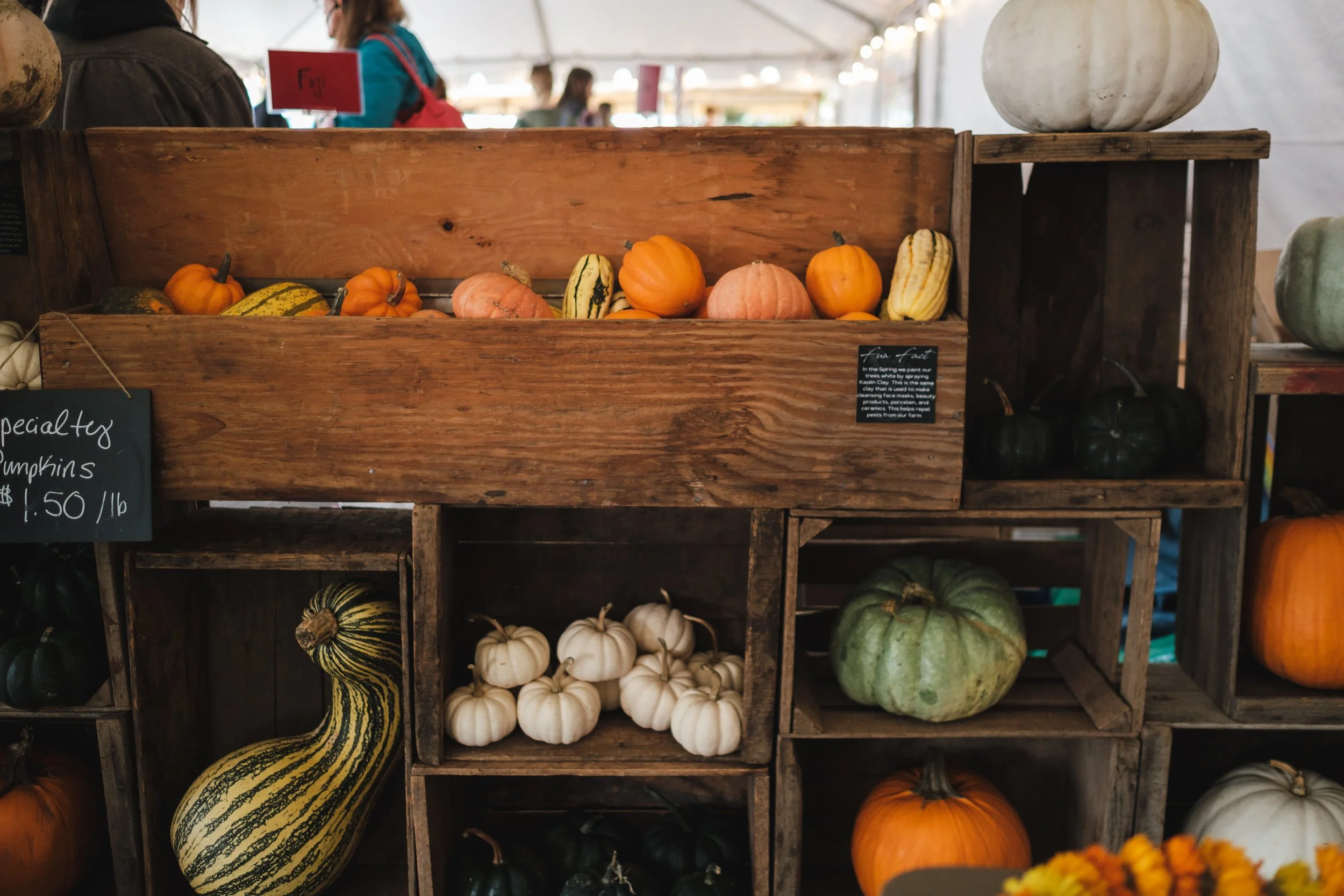 Orange, white, green, and striped pumpkins and gourds arranged in wooden crates inside a festival tent